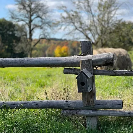 Pod Stromcem * Czernica (Jelenia Gora)