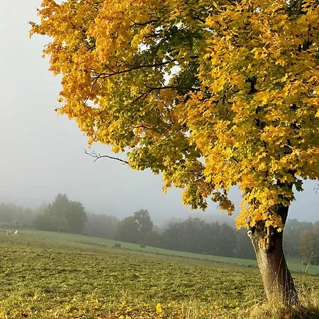 Holiday home Pod Stromcem