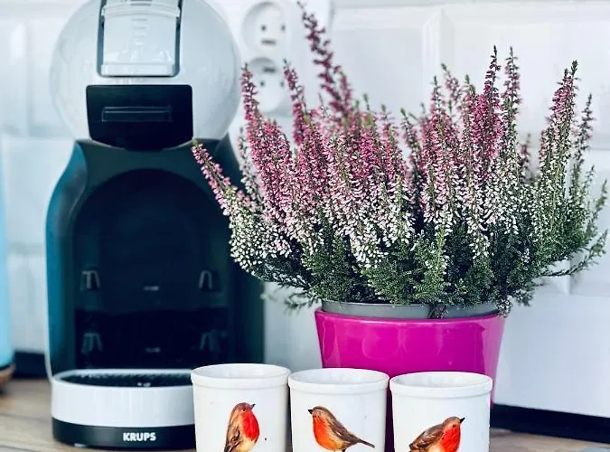 度假居 Pod Stromcem Czernica (Jelenia Gora)