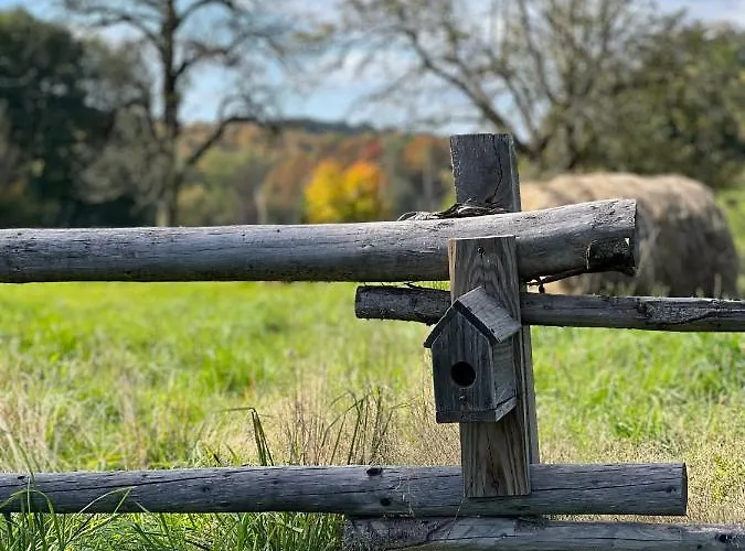 Pod Stromcem * Czernica (Jelenia Gora)