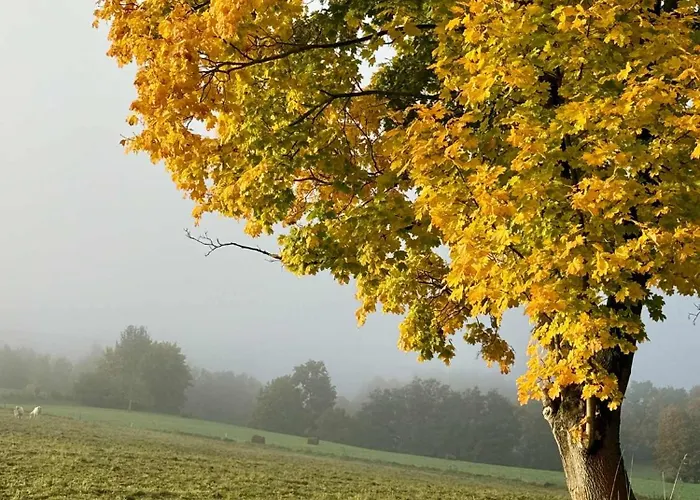 度假居 Pod Stromcem